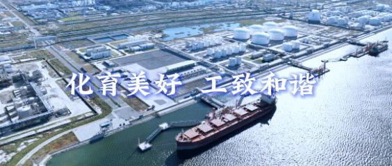 渤海职院成功举办2025一带一路暨金砖国家技能发展与技术创新大赛之“中文+职业技能”国际数字化应用竞赛华北赛区选拔赛