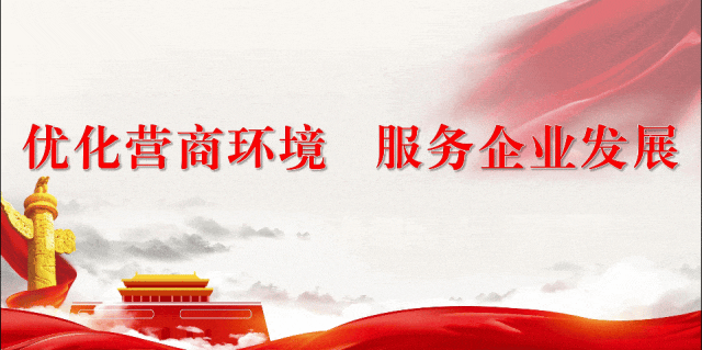 2025一带一路暨金砖大赛科技助残赛项在岳阳临港高新区开幕